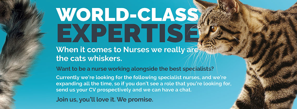 hdr-bnr-recruitment-nurse-banner-1140-421-real5